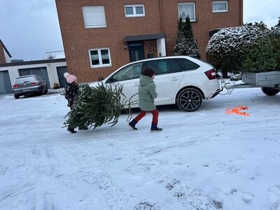 Klicken zum Vergrößern Klicken zum Vergrößern