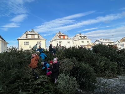 Klicken zum Vergrößern Klicken zum Vergrößern