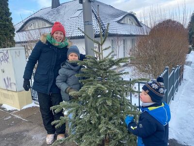 Klicken zum Vergrößern Klicken zum Vergrößern